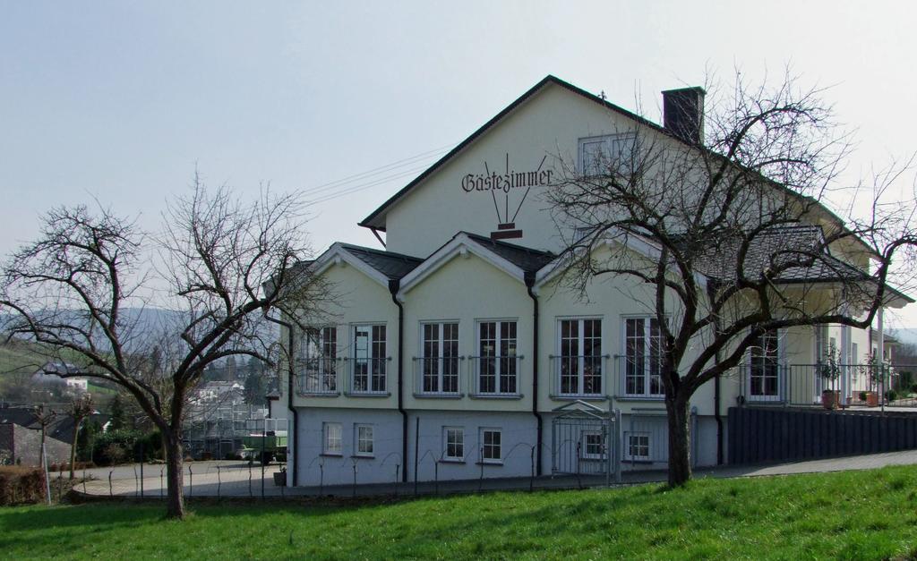 Wein & Gaestehaus Rosenlay Lieser Εξωτερικό φωτογραφία
